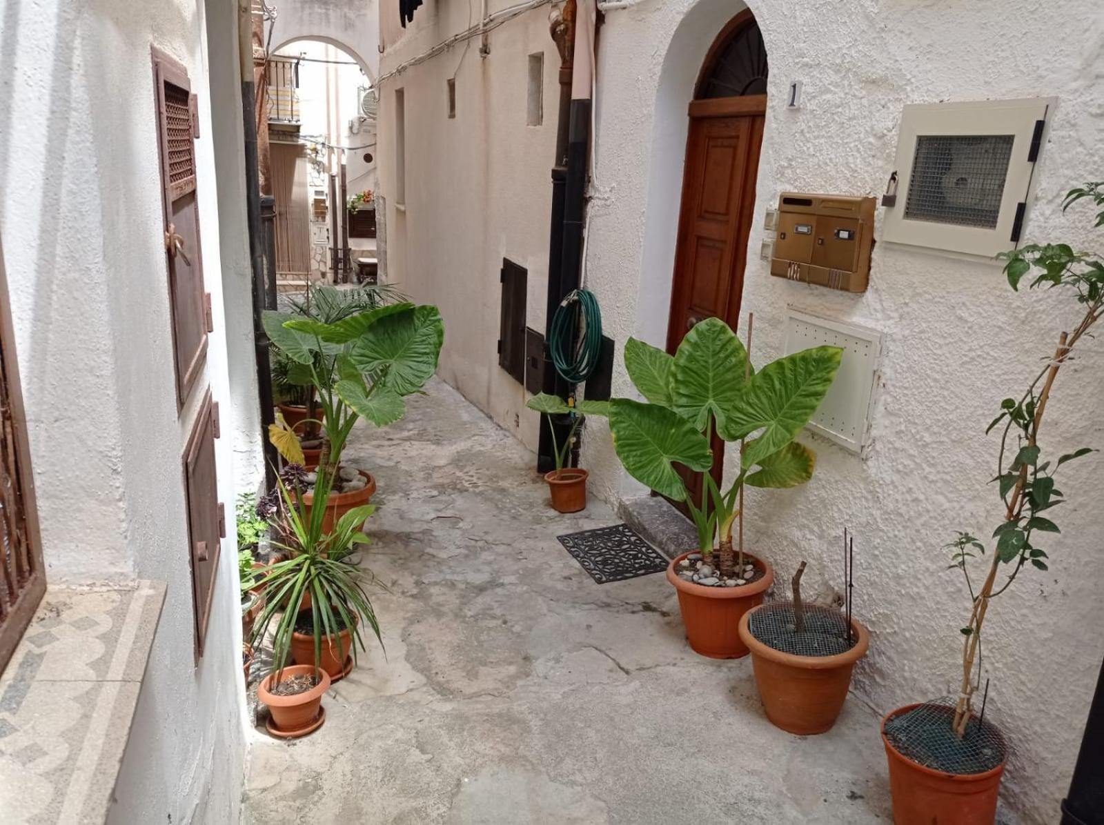 Cortile Maggiore Home Cefalu Luaran gambar